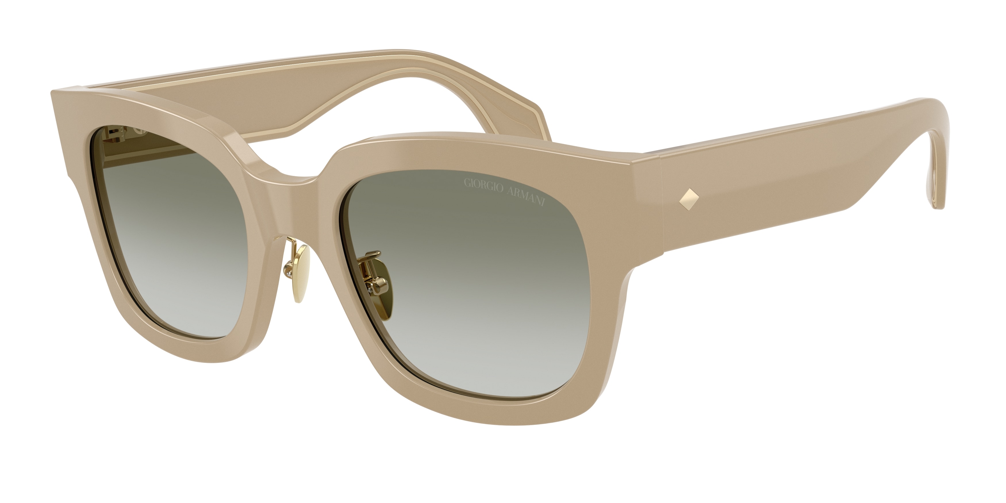 Giorgio Armani AR8223 61618E  